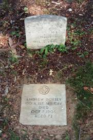 Andrew_Dorsey