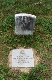 Nelson_T_R(SM)