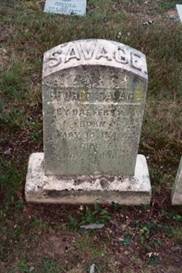 Savage_George(sm)